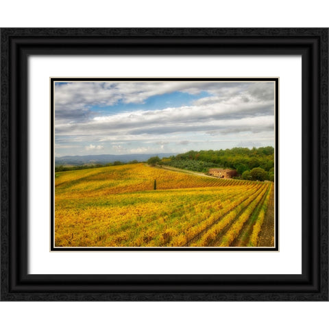 Italy-Tuscany Colorful vineyard in autumn Black Ornate Wood Framed Art Print with Double Matting by Eggers, Julie