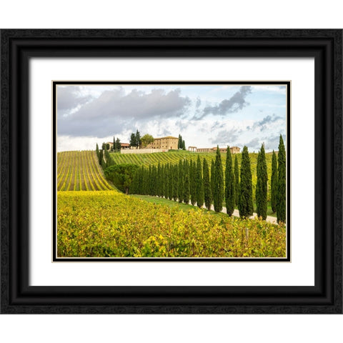 Italy-Tuscany Road lined with Italian cypress trees leading to a villa Black Ornate Wood Framed Art Print with Double Matting by Eggers, Julie