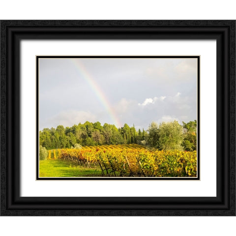 Italy-Tuscany Colorful vineyard and rainbow in autumn Black Ornate Wood Framed Art Print with Double Matting by Eggers, Julie