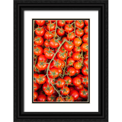 Italy- Umbria- Montefalco. Closeup of tomatoes on the vine. Black Ornate Wood Framed Art Print with Double Matting by Eggers, Julie