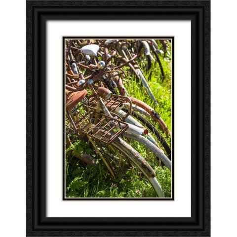 Sweden-Faro Island-Faro Broskogs-Creperie Tati-Kutens Bensin-hip former gas station now a restauran Black Ornate Wood Framed Art Print with Double Matting by Bibikow, Walter