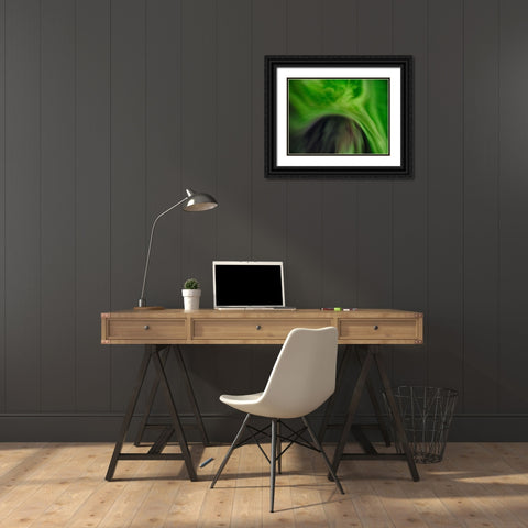 Northern lights over Angmagssalik Fjord-Greenland- Danish Territory Black Ornate Wood Framed Art Print with Double Matting by Zwick, Martin
