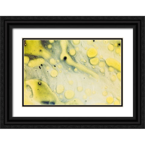 Paint-oil and water Black Ornate Wood Framed Art Print with Double Matting by Muench, Zandria