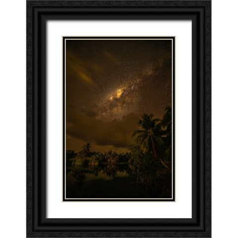 French Polynesia- Tahaa. Palm trees and night sky with Milky Way. Black Ornate Wood Framed Art Print with Double Matting by Jaynes Gallery