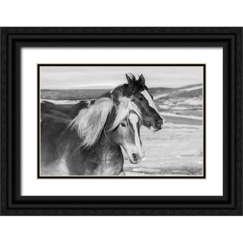 USA-Colorado-Westcliffe Music Meadows Ranch Ranch horses in winter Black Ornate Wood Framed Art Print with Double Matting by Hopkins, Cindy Miller