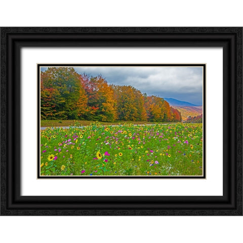 USA-New Hampshire-White Mountains in background with meridian planted with flowers along Interstate Black Ornate Wood Framed Art Print with Double Matting by Gulin, Sylvia