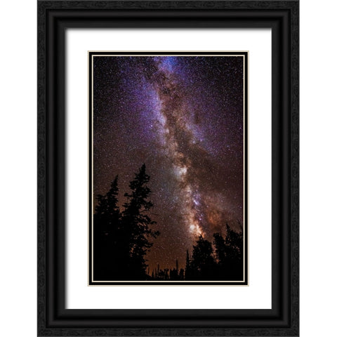 Milky Way over Cedar Breaks National Monument-Utah-USA Black Ornate Wood Framed Art Print with Double Matting by Bishop, Russ