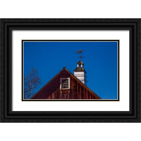 USA-New England-Vermont weather vane on top of wooden barn topped with horse Black Ornate Wood Framed Art Print with Double Matting by Gulin, Sylvia