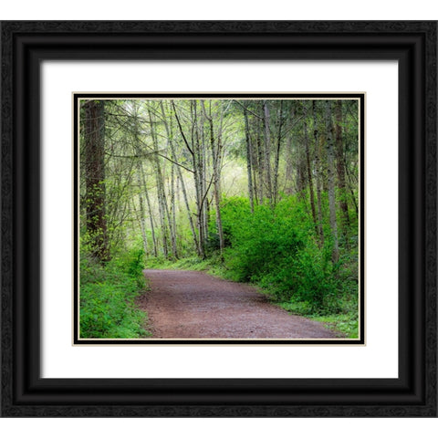 USA-Washington State-Pacific Northwest Sammamish trail along Yellow Lake Black Ornate Wood Framed Art Print with Double Matting by Gulin, Sylvia