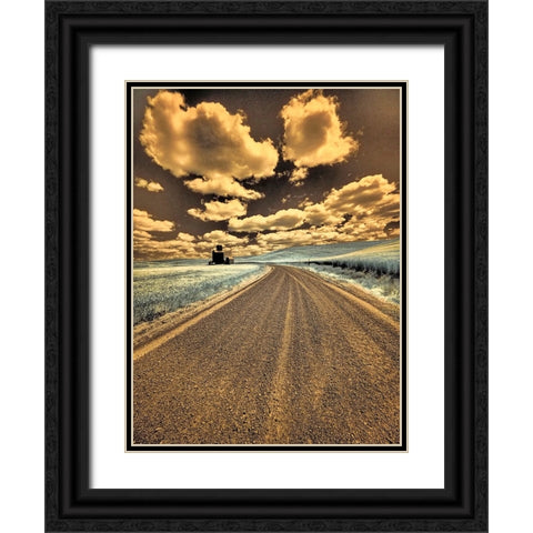 USA-Washington State-Palouse-Country backroad through spring crops Black Ornate Wood Framed Art Print with Double Matting by Eggers, Terry