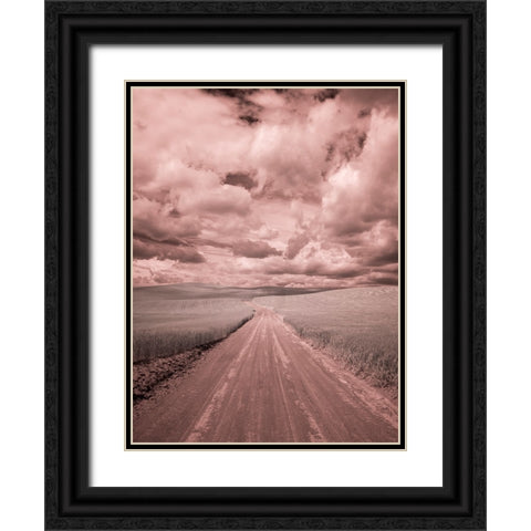 USA-Washington State-Palouse-Country backroad through spring crops Black Ornate Wood Framed Art Print with Double Matting by Eggers, Terry