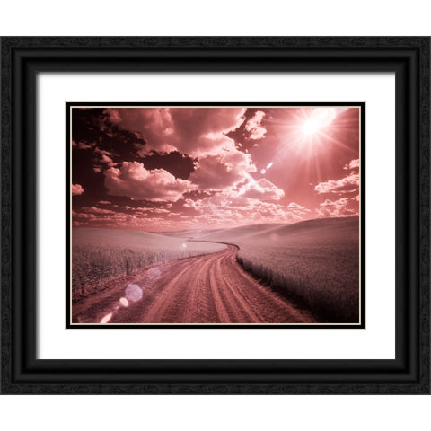USA-Washington State-Palouse-Country backroad through spring crops Black Ornate Wood Framed Art Print with Double Matting by Eggers, Terry