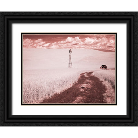 USA-Washington State-Palouse-Backroad through wheat field Black Ornate Wood Framed Art Print with Double Matting by Eggers, Terry