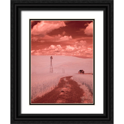 USA-Washington State-Palouse-Backroad through wheat field Black Ornate Wood Framed Art Print with Double Matting by Eggers, Terry