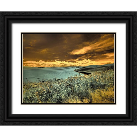 USA-Washington State-Palouse-Spring Poppies and Backcountry road through wheat field and clouds Black Ornate Wood Framed Art Print with Double Matting by Eggers, Terry
