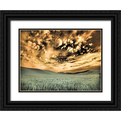 USA-Washington State-Palouse-wheat field and clouds Black Ornate Wood Framed Art Print with Double Matting by Eggers, Terry