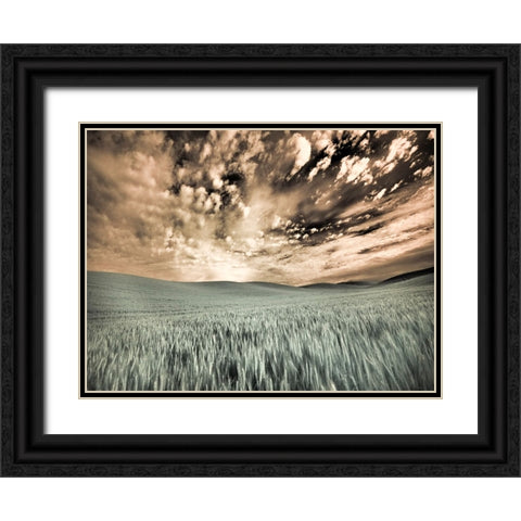 USA-Washington State-Palouse-wheat field and clouds Black Ornate Wood Framed Art Print with Double Matting by Eggers, Terry