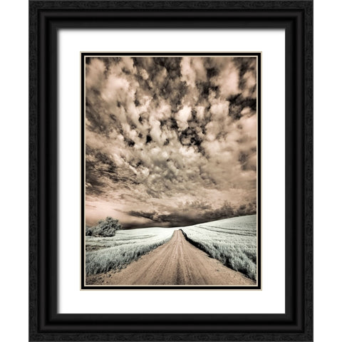 USA-Washington State-Palouse-Backcountry road through wheat field and clouds Black Ornate Wood Framed Art Print with Double Matting by Eggers, Terry