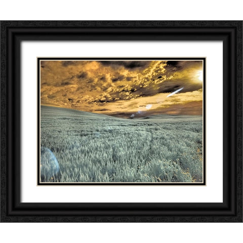 USA-Washington State-Palouse-wheat field and clouds Black Ornate Wood Framed Art Print with Double Matting by Eggers, Terry