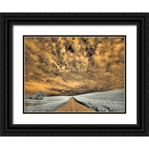 USA-Washington State-Palouse-Backcountry road through wheat field and clouds Black Ornate Wood Framed Art Print with Double Matting by Eggers, Terry