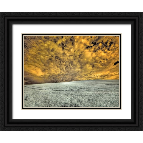 USA-Washington State-Palouse-wheat field and clouds Black Ornate Wood Framed Art Print with Double Matting by Eggers, Terry