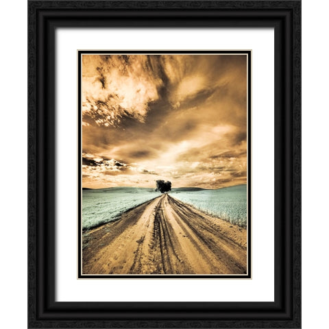 USA-Washington State-Palouse-Backcountry road through wheat field with lone tree and clouds Black Ornate Wood Framed Art Print with Double Matting by Eggers, Terry