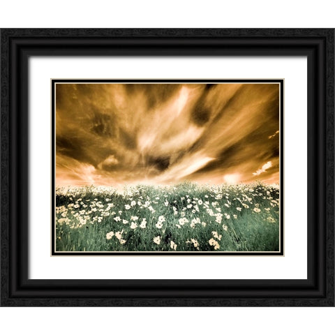 USA-Washington State-Palouse-Spring Poppies and Backcountry road through wheat field and clouds Black Ornate Wood Framed Art Print with Double Matting by Eggers, Terry