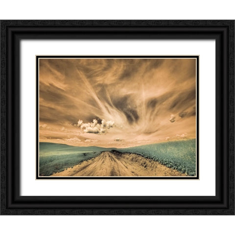 USA-Washington State-Palouse-Backcountry road through canola field and clouds Black Ornate Wood Framed Art Print with Double Matting by Eggers, Terry