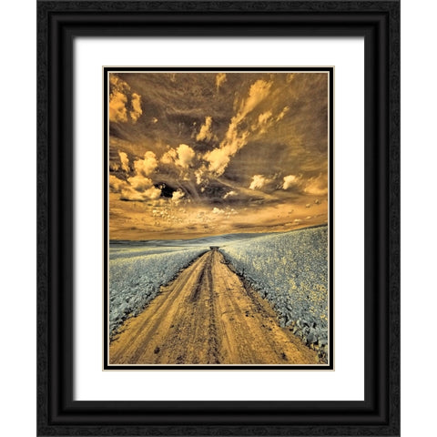 USA-Washington State-Palouse-Backcountry road through canola field and clouds Black Ornate Wood Framed Art Print with Double Matting by Eggers, Terry
