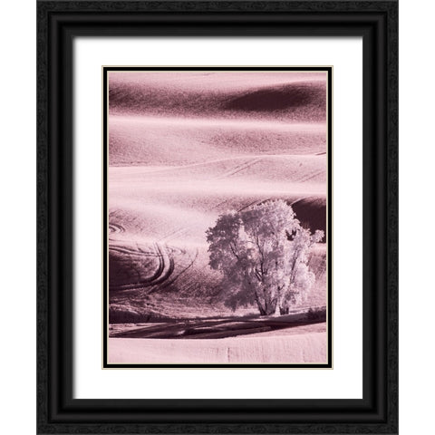USA-Washington State-Palouse region-Lone tree in Field Black Ornate Wood Framed Art Print with Double Matting by Eggers, Terry