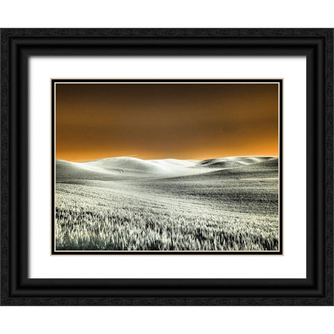 USA-Washington State-Palouse region-Rolling Hills of wheat Black Ornate Wood Framed Art Print with Double Matting by Eggers, Terry