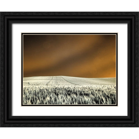 USA-Washington State-Palouse region-Rolling Hills of wheat Black Ornate Wood Framed Art Print with Double Matting by Eggers, Terry
