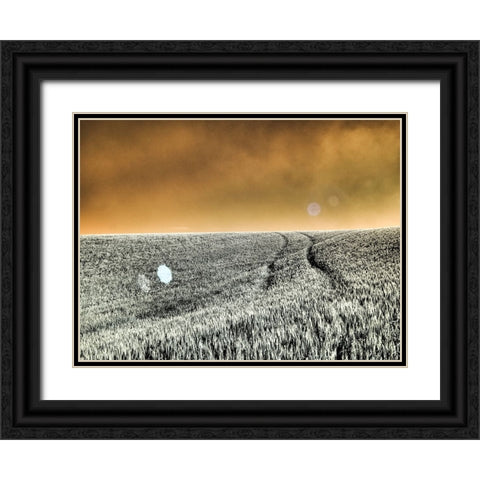 USA-Washington State-Palouse region-Rolling Hills of wheat Black Ornate Wood Framed Art Print with Double Matting by Eggers, Terry
