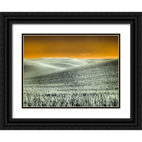 USA-Washington State-Palouse region-Rolling Hills of wheat Black Ornate Wood Framed Art Print with Double Matting by Eggers, Terry