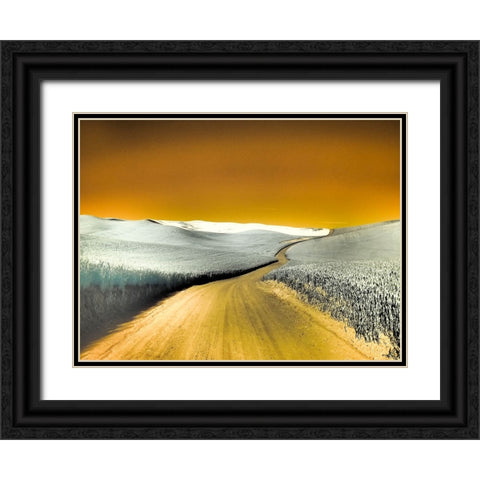 USA-Washington State-Palouse region-Country backroad through wheat fields Black Ornate Wood Framed Art Print with Double Matting by Eggers, Terry