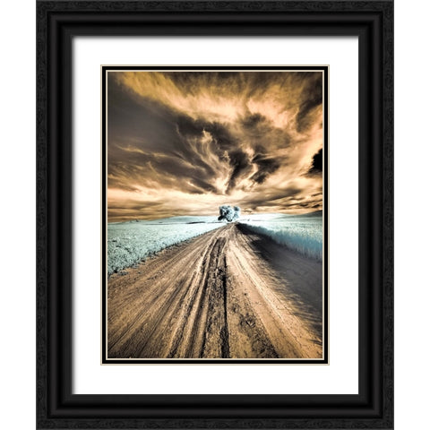 USA-Washington State-Palouse region-Backcountry road leading to Lone Tree Black Ornate Wood Framed Art Print with Double Matting by Eggers, Terry