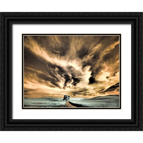 USA-Washington State-Palouse region-Backcountry road leading to Lone Tree Black Ornate Wood Framed Art Print with Double Matting by Eggers, Terry