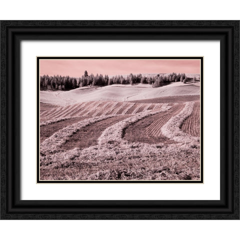 USA-Washington State-Palouse region-Harvest cut lines in Field Black Ornate Wood Framed Art Print with Double Matting by Eggers, Terry