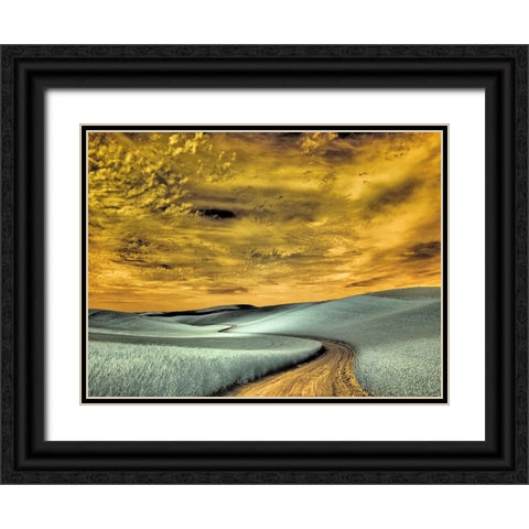 USA-Washington State-Palouse region-winding backcountry road through wheat fields Black Ornate Wood Framed Art Print with Double Matting by Eggers, Terry