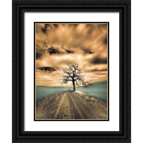 USA-Washington State-Palouse Infrared of lone tree along side country road Black Ornate Wood Framed Art Print with Double Matting by Eggers, Terry