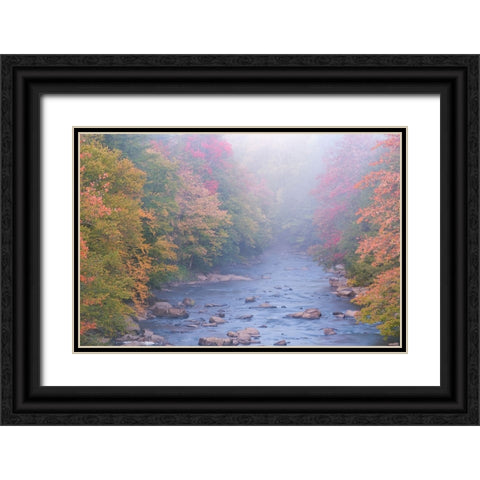 USA-West Virginia-Davis Foggy stream in Blackwater State Park Black Ornate Wood Framed Art Print with Double Matting by Jaynes Gallery