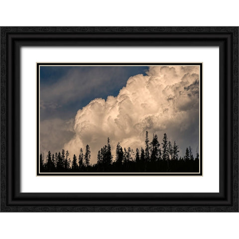 Trees silhouetted against cumulus cloud-Yellowstone National Park-Wyoming Black Ornate Wood Framed Art Print with Double Matting by Jones, Adam