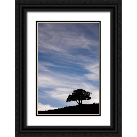 Single tree silhouetted at sunrise-Yellowstone National Park-Wyoming Black Ornate Wood Framed Art Print with Double Matting by Jones, Adam