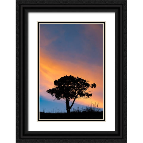 Single tree silhouetted at sunrise-Yellowstone National Park-Wyoming Black Ornate Wood Framed Art Print with Double Matting by Jones, Adam
