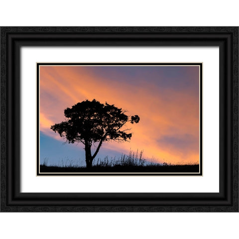 Single tree silhouetted at sunrise-Yellowstone National Park-Wyoming Black Ornate Wood Framed Art Print with Double Matting by Jones, Adam
