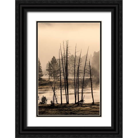 Dead trees near geothermal feature-Yellowstone National Park-Wyoming Black Ornate Wood Framed Art Print with Double Matting by Jones, Adam