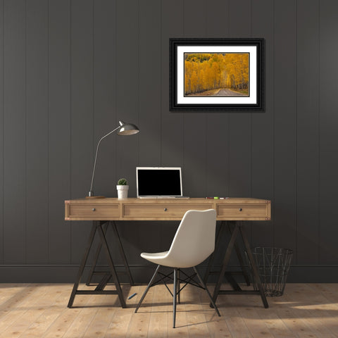 USA-Wyoming-Grand Teton National Park Road through fall aspen trees Black Ornate Wood Framed Art Print with Double Matting by Jaynes Gallery