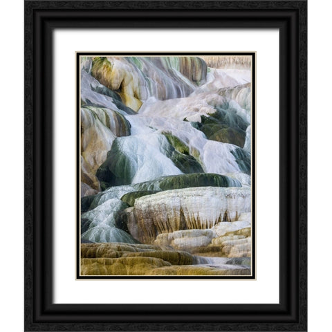 USA- Wyoming- Yellowstone National Park. Mammoth Hot Springs Black Ornate Wood Framed Art Print with Double Matting by Gulin, Darrell