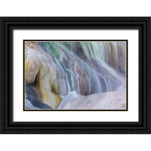 USA- Wyoming- Yellowstone National Park. Mammoth Hot Springs Black Ornate Wood Framed Art Print with Double Matting by Gulin, Darrell