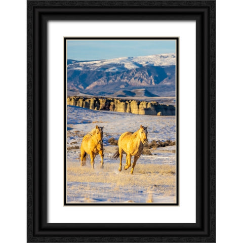 USA- Wyoming. Hideout Horse Ranch- horses in snow. Black Ornate Wood Framed Art Print with Double Matting by Looney, Hollice